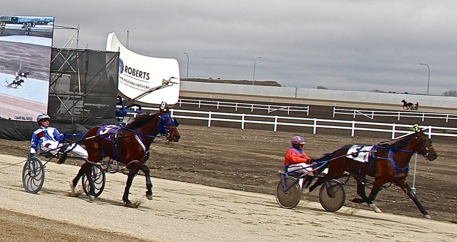 First Race at Century Downs