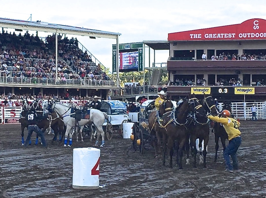 Outriders at Calgary Stampede 2015