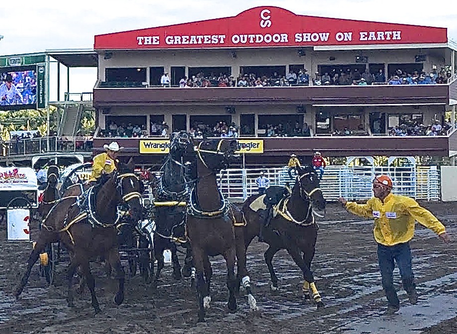 Outriders at Calgary Stampede 2015