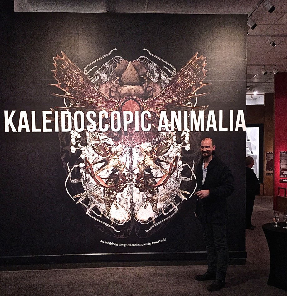 Kaleidoscopic Animalia by Paul Hardy at Glenbow