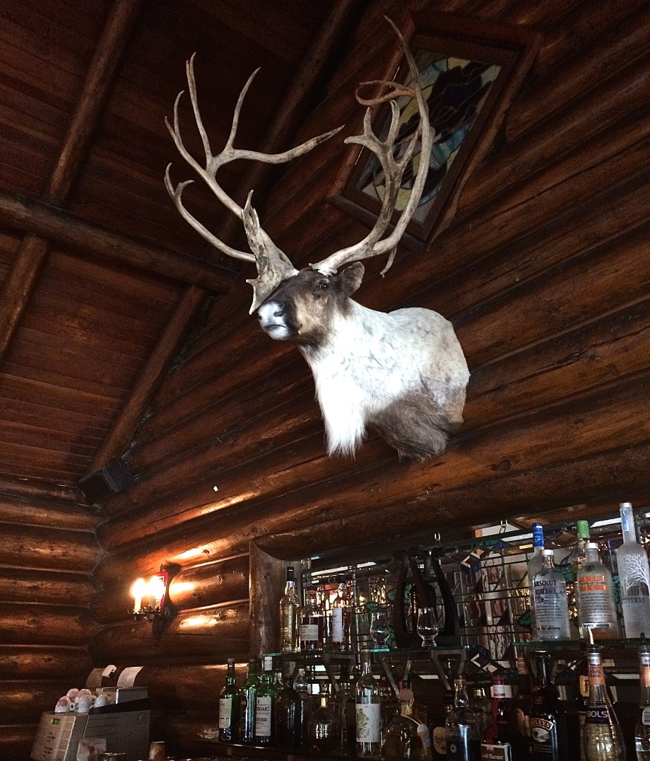 Caribou at Deer Lodge in Lake Louise